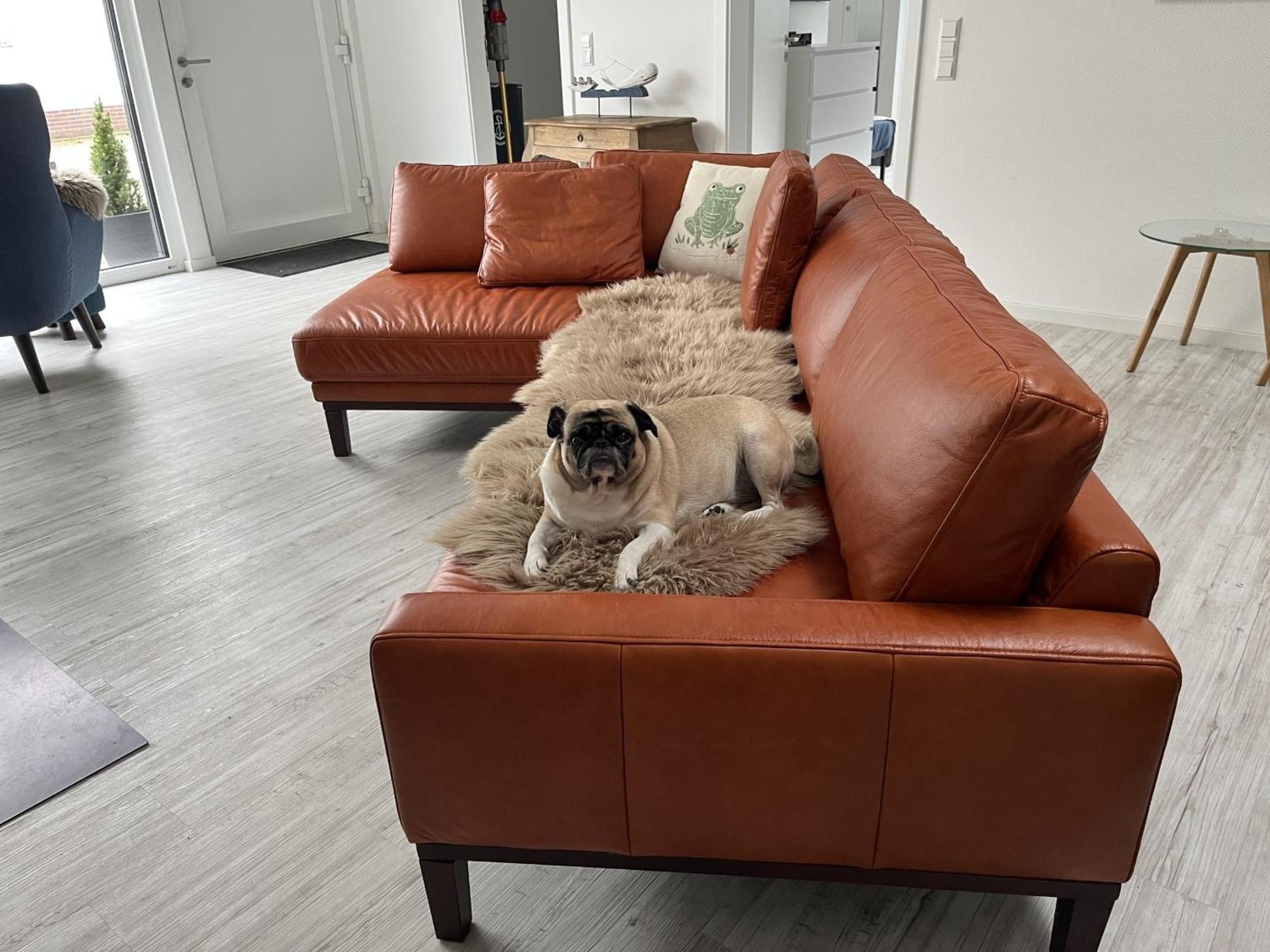 Ferienwohnung Nr 5 Wunstorf Exteriör bild